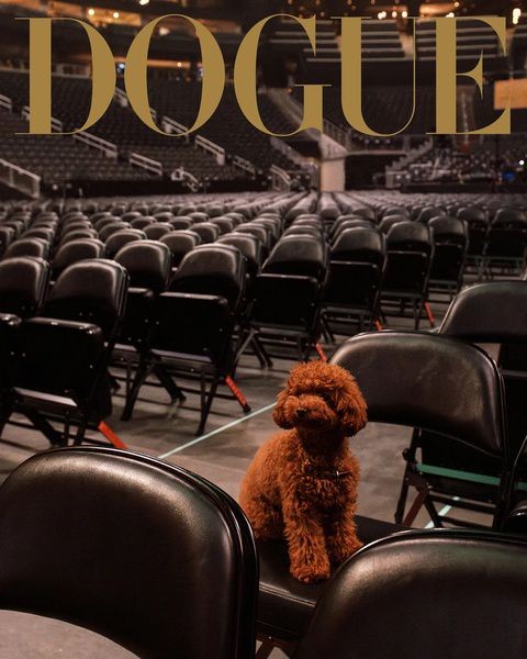 Модная собака: Vogue запустил проект про звёздных питомцев Модная собака: Vogue запустил проект про звёздных питомцев