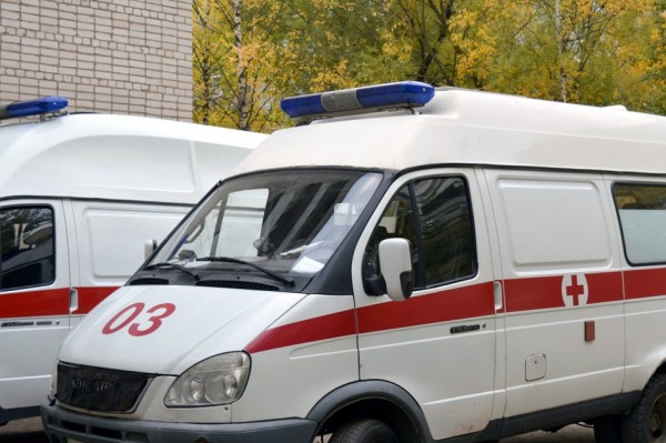 В Ленобласти врачи спасли малыша, которого укусила оса