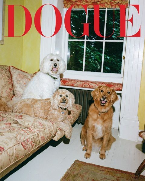Модная собака: Vogue запустил проект про звёздных питомцев Модная собака: Vogue запустил проект про звёздных питомцев