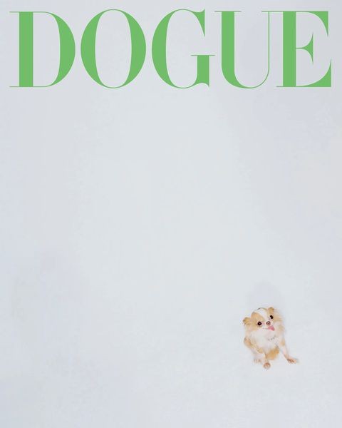 Модная собака: Vogue запустил проект про звёздных питомцев Модная собака: Vogue запустил проект про звёздных питомцев
