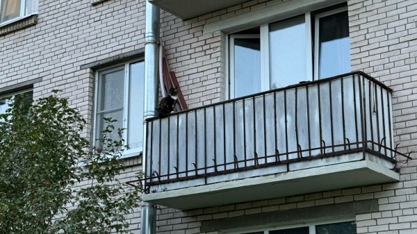В Бокситогорске СК проверяет обстоятельства падения шестилетнего ребенка из окна В Бокситогорске СК проверяет обстоятельства падения шестилетнего ребенка из окна