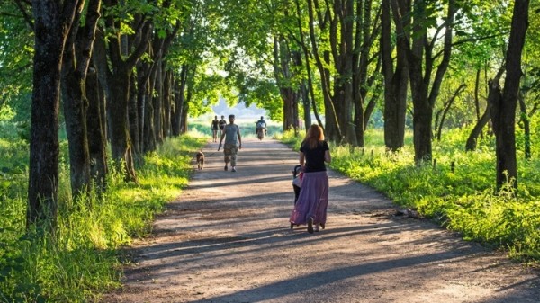 В «городе правосудия» на проспекте Добролюбова появится «зеленый оазис» В «городе правосудия» на проспекте Добролюбова появится «зеленый оазис»