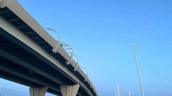 На намыве в Петербурге продолжают улучшать транспортную доступность На намыве в Петербурге продолжают улучшать транспортную доступность