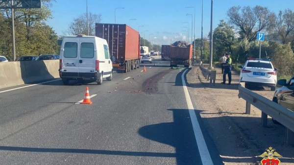 Стоял на обочине и внезапно вышел на трассу: в Шушарах под колесами грузовика погиб пешеход Стоял на обочине и внезапно вышел на трассу: в Шушарах под колесами грузовика погиб пешеход