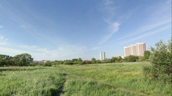 Неизвестная троица избила школьника битой и оттаскала за волосы в Полежаевском парке Неизвестная троица избила школьника битой и оттаскала за волосы в Полежаевском парке
