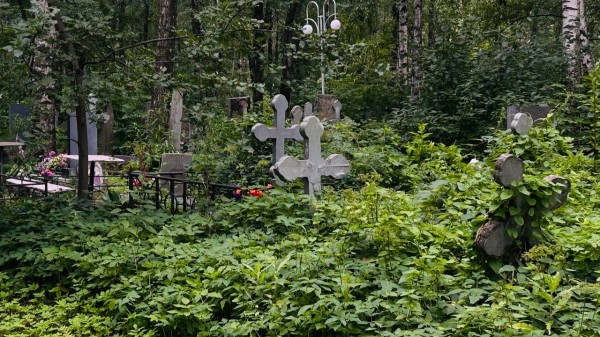 Не спаслись даже оградки: расхитители могил не стесняются лучей солнца и кошмарят нижегородцев