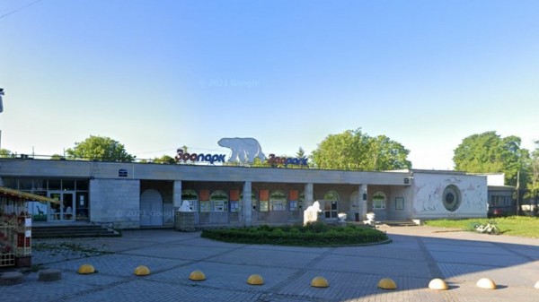 В Ленинградском зоопарке 1 октября пенсионеры смогут бесплатно посмотреть на животных В Ленинградском зоопарке 1 октября пенсионеры смогут бесплатно посмотреть на животных