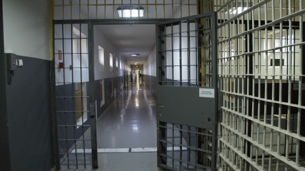 Экс-главу администрации Кировского района Ленобласти отправили в СИЗО за клевету на сенатора РФ и депутата ЗакСа