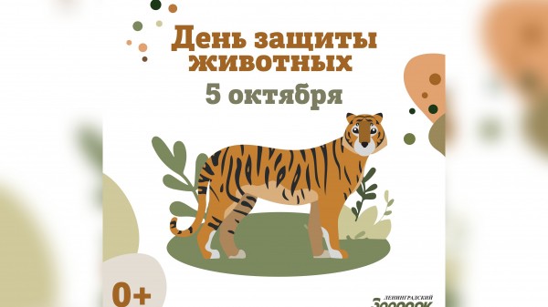 Кормления, тренинги и мастер-классы: День защиты животных пройдет в Ленинградском зоопарке Кормления, тренинги и мастер-классы: День защиты животных пройдет в Ленинградском зоопарке