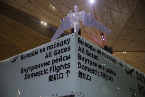 Полёты не во сне, а наяву: как можно выгодно купить авиабилеты и улететь почти в любую точку мира