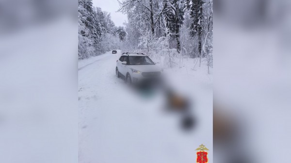 В Ленобласти уголовное дело получила женщина на Hyundai Creta за смерть в ДТП В Ленобласти уголовное дело получила женщина на Hyundai Creta за смерть в ДТП
