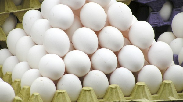 Доступные продукты: эксперты озвучили результаты мониторинга цен в петербургских магазинах Доступные продукты: эксперты озвучили результаты мониторинга цен в петербургских магазинах