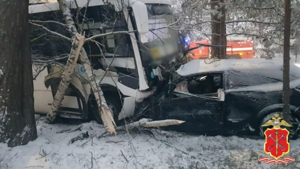 На трассе «Санкт-Петербург — Ручьи» водитель легковушки насмерть врезался в рейсовый автобус На трассе «Санкт-Петербург — Ручьи» водитель легковушки насмерть врезался в рейсовый автобус