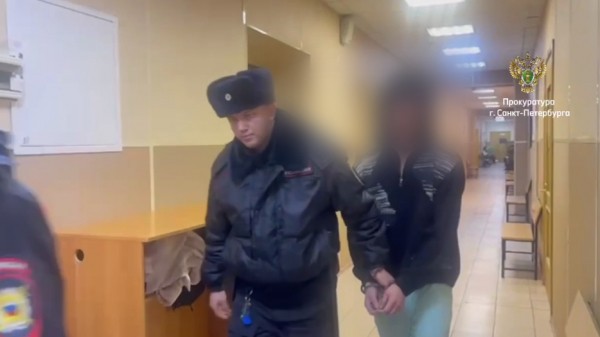 За избиение четверых людей петербуржец просидит за решеткой лишь до февраля 2025 года