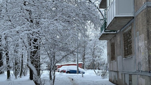 Тепло и дожди вернуться в Петербург: январь 2025 года может побить многолетний рекорд Тепло и дожди вернуться в Петербург: январь 2025 года может побить многолетний рекорд