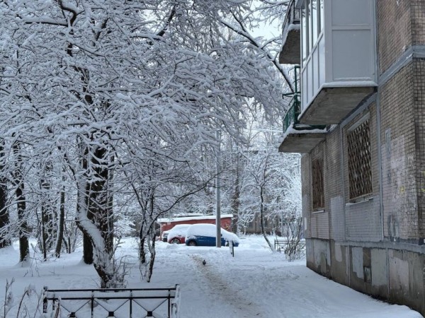 Погода в Петербурге вернет городу звание &laquo;Северной столицы&raquo;: много снега и -10 градусов