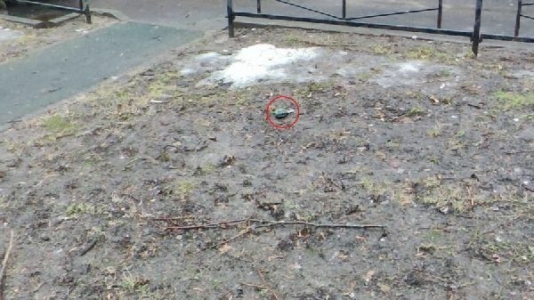 Граната для страйкбола вызвала на Советскую улицу ОМОН и Росгвардию Граната для страйкбола вызвала на Советскую улицу ОМОН и Росгвардию