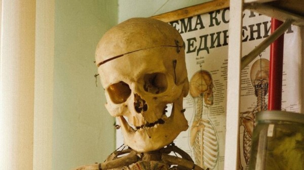 Музейщики назвали топ-5 необычных музеев России за пределами Москвы