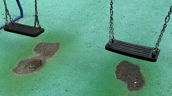 Жуткая находка: птица принесла оторванную руку ребенка к школе в Ирландии