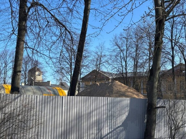 В центре Петербурга собрались вырубить больше 700 деревьев ради спорткомплеса за 2,7 млрд рублей В центре Петербурга собрались вырубить больше 700 деревьев ради спорткомплеса за 2,7 млрд рублей