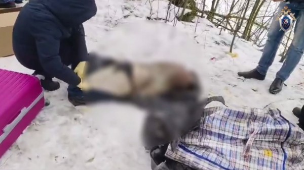 В Петербурге чемоданы с человеческими останками стали уголовным делом В Петербурге чемоданы с человеческими останками стали уголовным делом