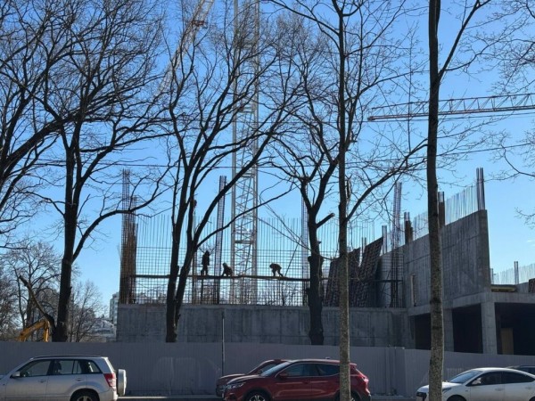 В центре Петербурга собрались вырубить больше 700 деревьев ради спорткомплеса за 2,7 млрд рублей В центре Петербурга собрались вырубить больше 700 деревьев ради спорткомплеса за 2,7 млрд рублей