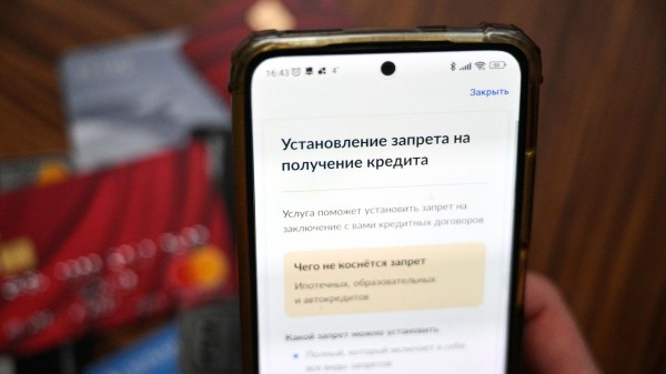 Около 1,7 миллиона россиян установили самозапрет на кредиты на "Госуслугах"