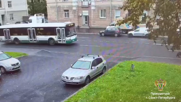 Петербургский водитель на &laquo;ГАЗЕЛЬ&raquo; предстанет перед судом за смерть пенсионерки