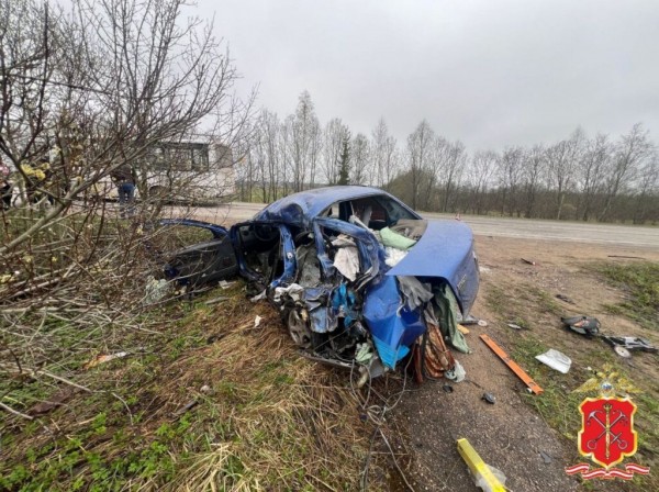 Более 10 детей пострадали: стали известны подробности столкновения Renault с автобусом под Петербургом