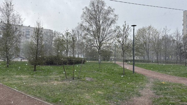 После холодных выходных в Петербург вернется тепло После холодных выходных в Петербург вернется тепло