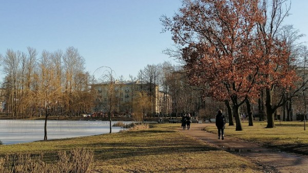 В Петербурге создадут комиссию по охране редких животных и растений В Петербурге создадут комиссию по охране редких животных и растений
