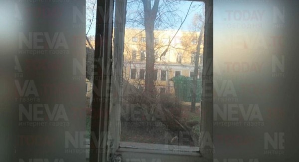 Тополь упал на самый старый роддом Петербурга Снегиревка, где родился Путин