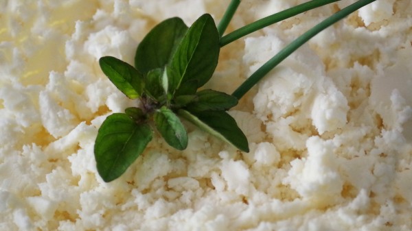 В Петербурге выросли объемы поставок молочных продукций через морской порт В Петербурге выросли объемы поставок молочных продукций через морской порт