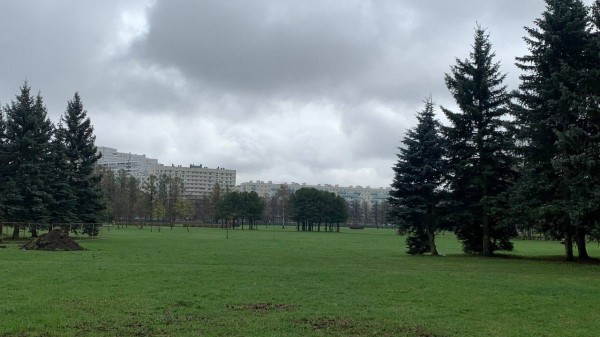 КГИОП не стал добавлять парк Академика Сахарова в реестр объектов культурного наследия КГИОП не стал добавлять парк Академика Сахарова в реестр объектов культурного наследия