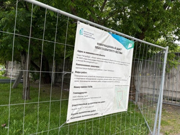 Петербуржцы выбрали новый облик своего города