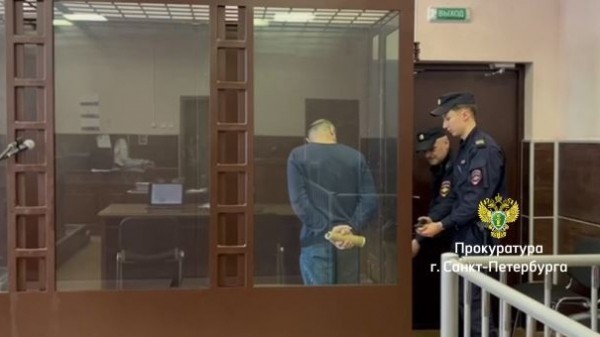 Убивший мать троих детей житель Шушар получил 8 лет строгого режима Убивший мать троих детей житель Шушар получил 8 лет строгого режима