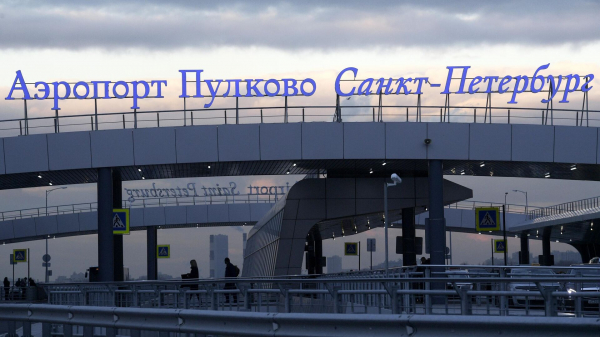 Сбежавший из переноски в аэропорту Пулково пес Малыш погиб, его сбила машина Сбежавший из переноски в аэропорту Пулково пес Малыш погиб, его сбила машина