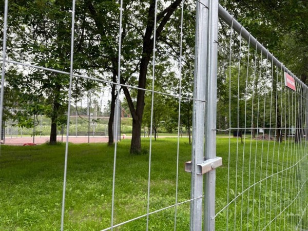 Петербуржцы выбрали новый облик своего города
