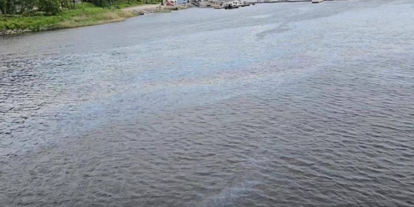 По факту разлива нефтепродуктов на Ладожском озере началась проверка По факту разлива нефтепродуктов на Ладожском озере началась проверка