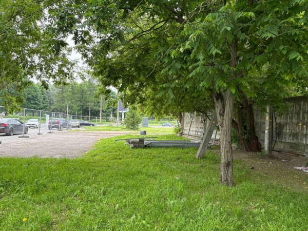 Петербуржцы выбрали новый облик своего города
