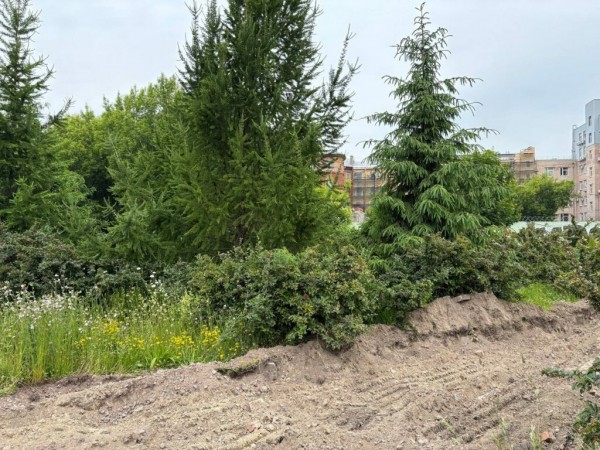 Петербуржцы выбрали новый облик своего города
