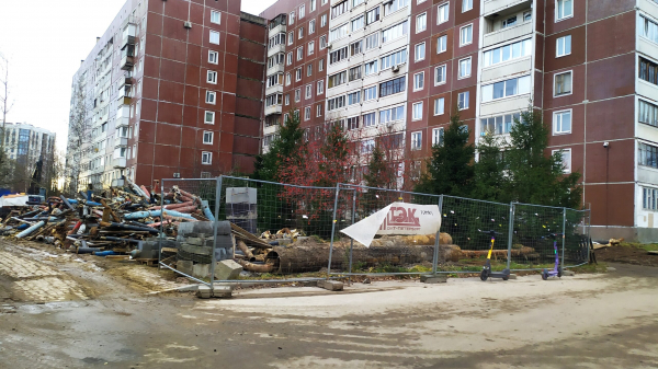 Почти тысячу деревьев бросят в топку ТЭК на севере Петербурга Почти тысячу деревьев бросят в топку ТЭК на севере Петербурга