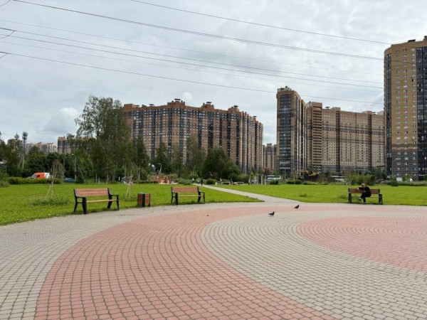 Сквер на Заречной улице начали превращать в отстойник