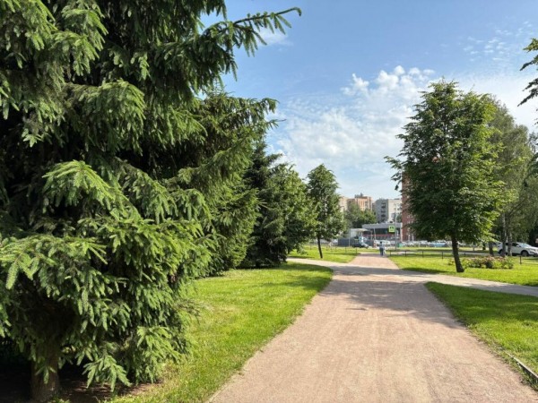 Петербуржцам рассказали, какие общественные пространства появятся в Выборгском и Калининском районах