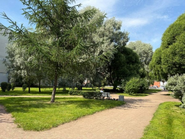 Петербуржцам рассказали, какие общественные пространства появятся в Выборгском и Калининском районах