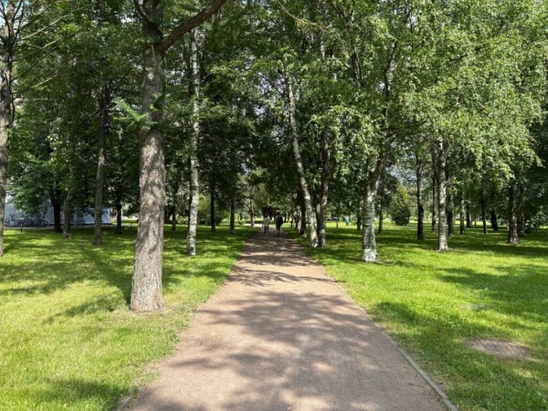 Петербуржцам рассказали, какие общественные пространства появятся в Выборгском и Калининском районах