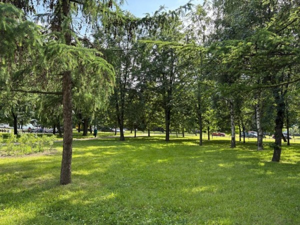 Петербуржцам рассказали, какие общественные пространства появятся в Выборгском и Калининском районах