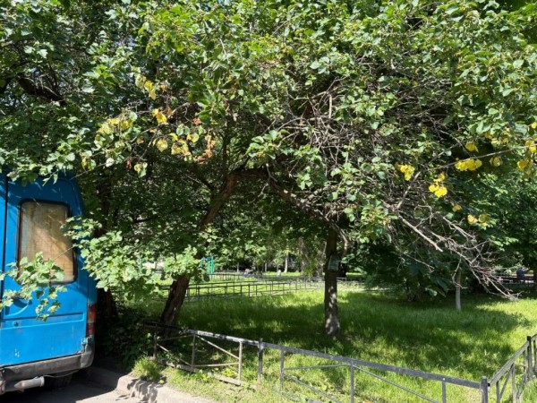Петербуржцам рассказали, какие общественные пространства появятся в Выборгском и Калининском районах