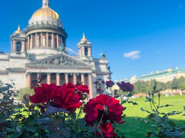 Летний дождь и +30 градусов: синоптик Колесов рассказал о погоде в Петербурге на 11-13 июля Летний дождь и +30 градусов: синоптик Колесов рассказал о погоде в Петербурге на 11-13 июля