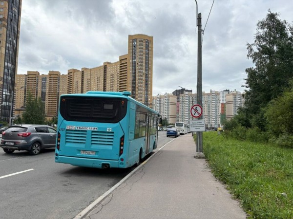 Сквер на Заречной улице начали превращать в отстойник
